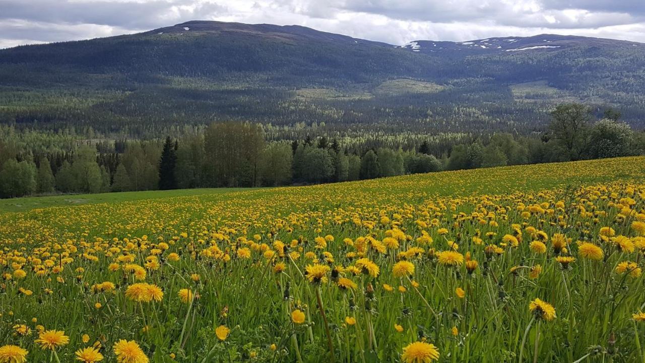 Koeja Fjaellhotell Edsasdalen