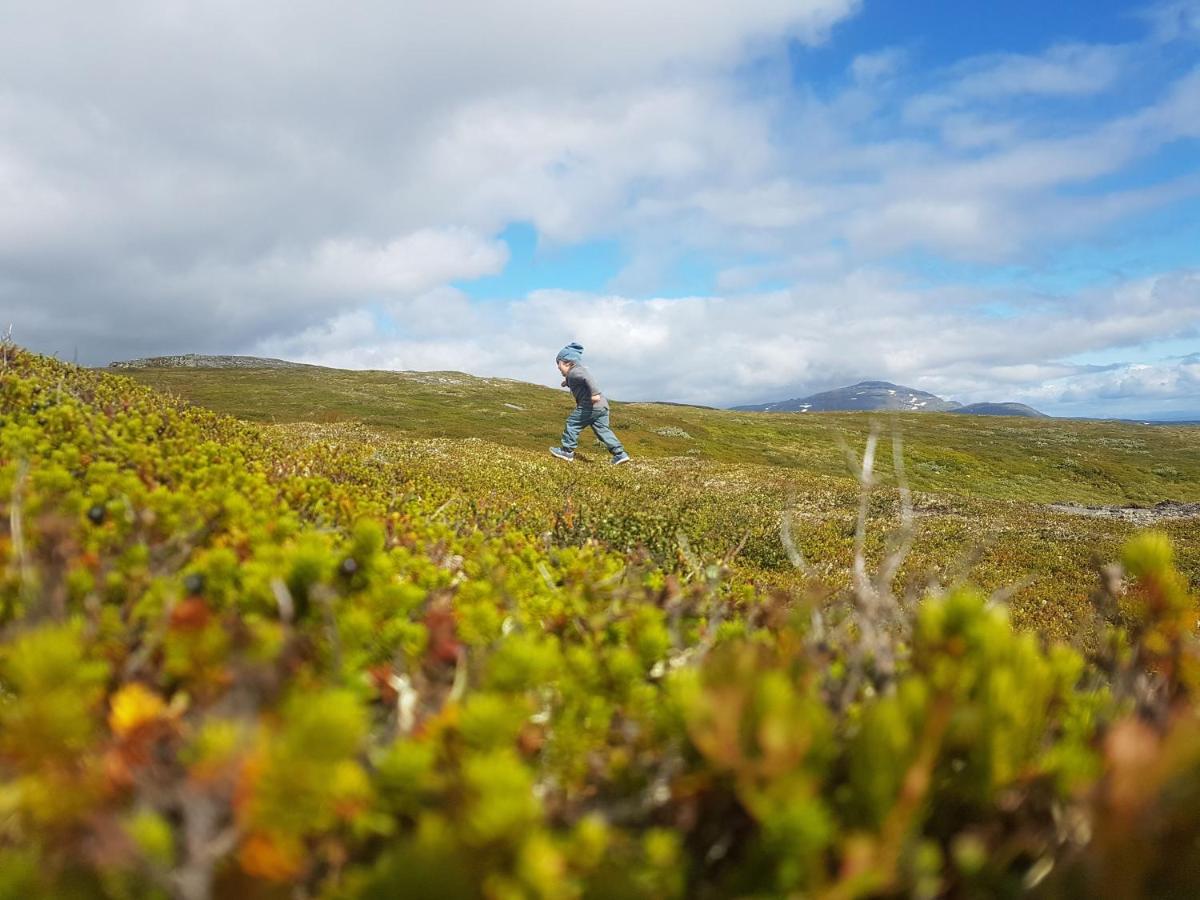 Koeja Fjaellhotell Edsasdalen